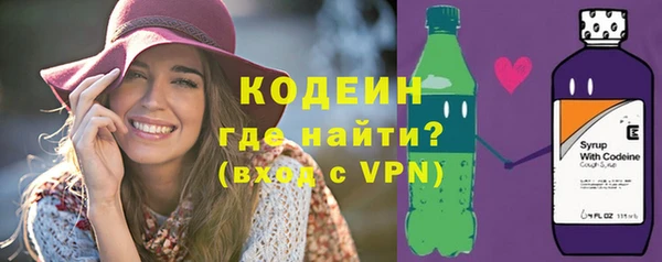 индика Горнозаводск