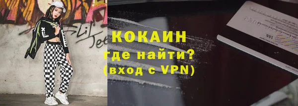 индика Горняк