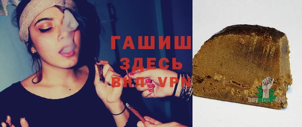 индика Горняк