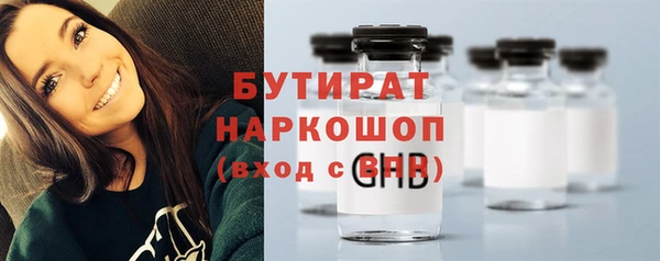 индика Горнозаводск