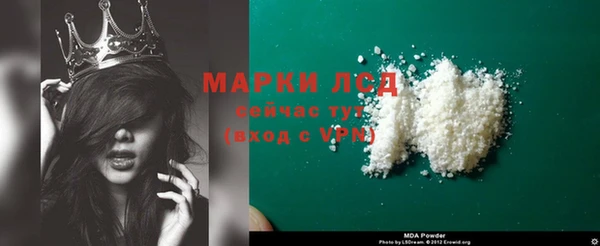 индика Горняк