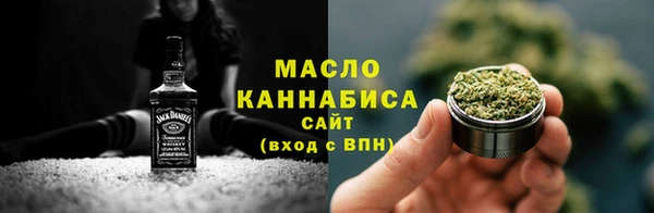 индика Горнозаводск