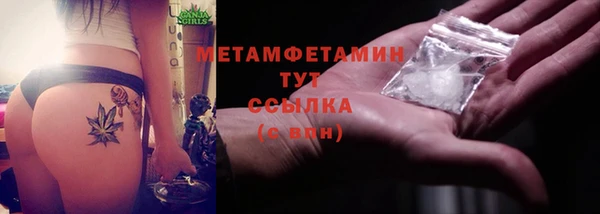 индика Горняк