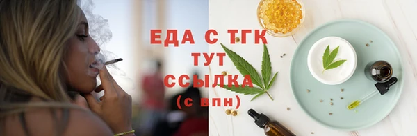 индика Горняк