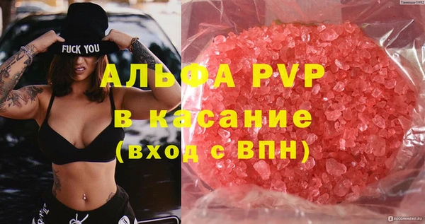 индика Горняк