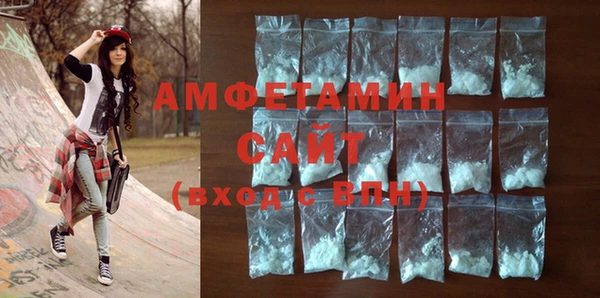 индика Горнозаводск