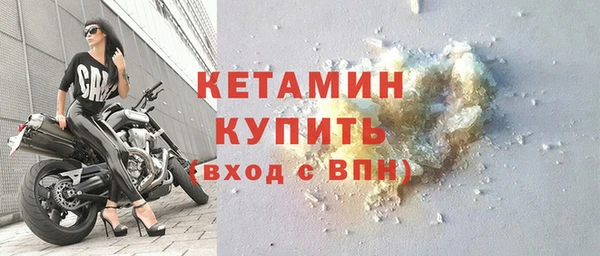 индика Горняк