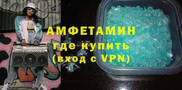индика Горняк