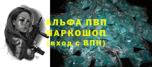 индика Горнозаводск