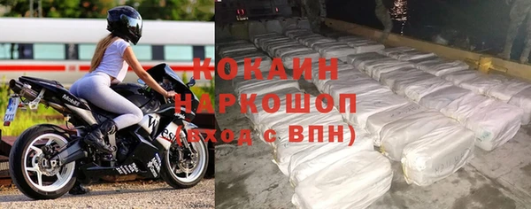 индика Горнозаводск