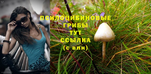 индика Горнозаводск