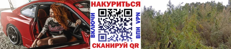 дарнет шоп  МЕГА ссылка  МАРИХУАНА Ganja  Меленки 